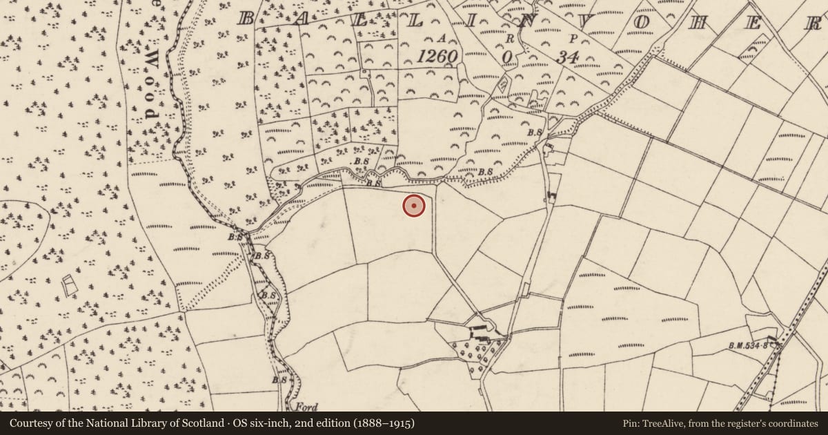 Ordnance Survey six-inch map, 2nd edition (1888–1915) covering the location of Standing stone, Ballinvoher, County Cork, with a pin at the register's coordinates