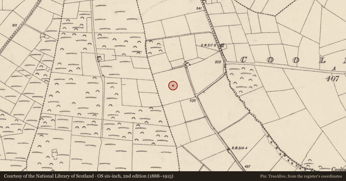 Ordnance Survey six-inch map, 2nd edition (1888–1915) covering the location of Fulacht fia, Castlecooke, County Cork, with a pin at the register's coordinates