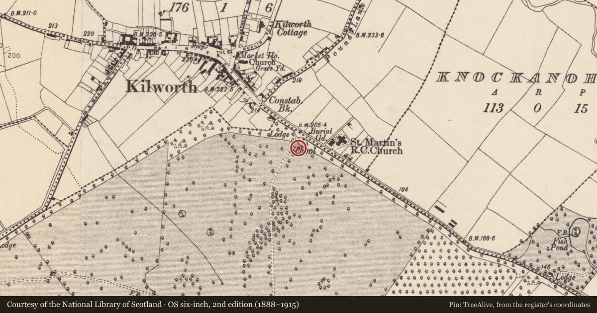 Ordnance Survey six-inch map, 2nd edition (1888–1915) covering the location of Designed landscape - belvedere, Moorepark, County Cork, with a pin at the register's coordinates