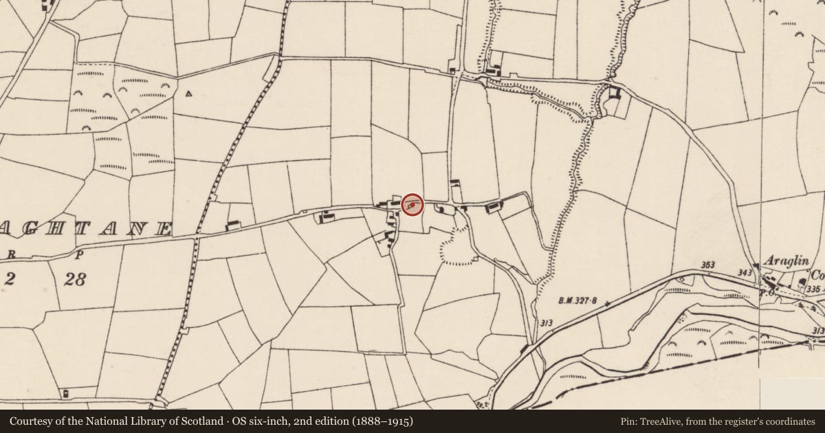 Ordnance Survey six-inch map, 2nd edition (1888–1915) covering the location of Kiln - lime, Gortnaskehy, County Cork, with a pin at the register's coordinates