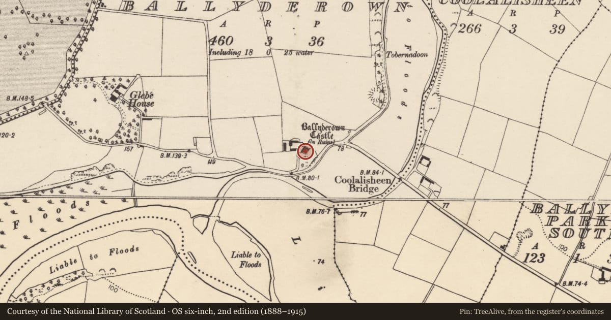 Ordnance Survey six-inch map, 2nd edition (1888–1915) covering the location of Castle - hall-house, Ballyderown, County Cork, with a pin at the register's coordinates