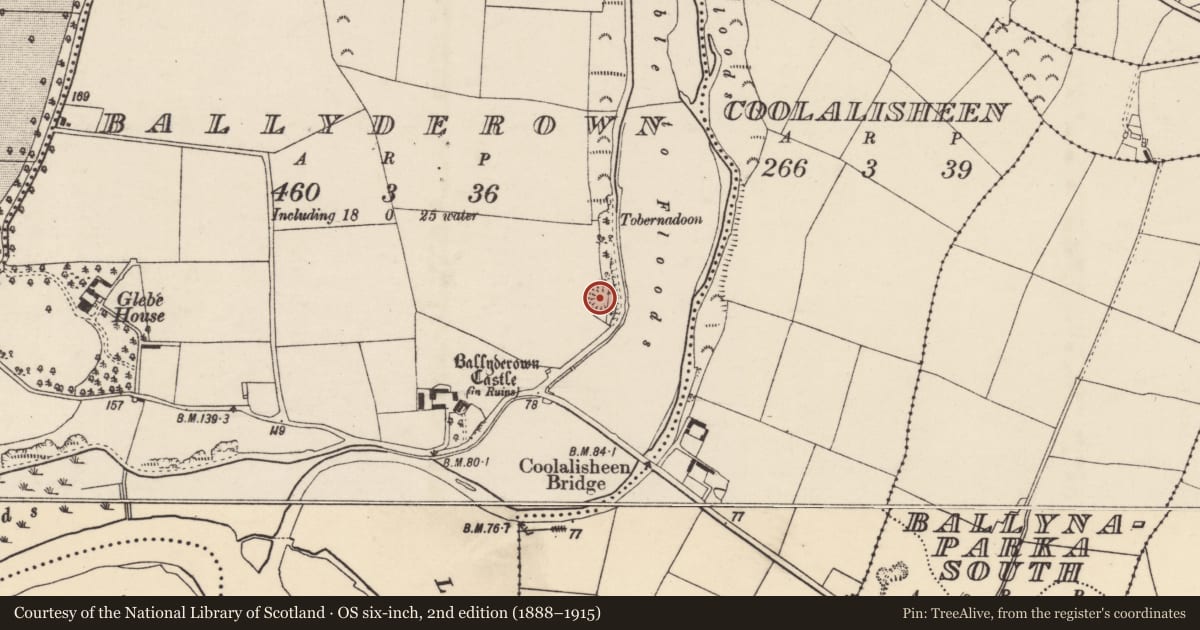 Ordnance Survey six-inch map, 2nd edition (1888–1915) covering the location of Cliff-edge fort, Ballyderown, County Cork, with a pin at the register's coordinates
