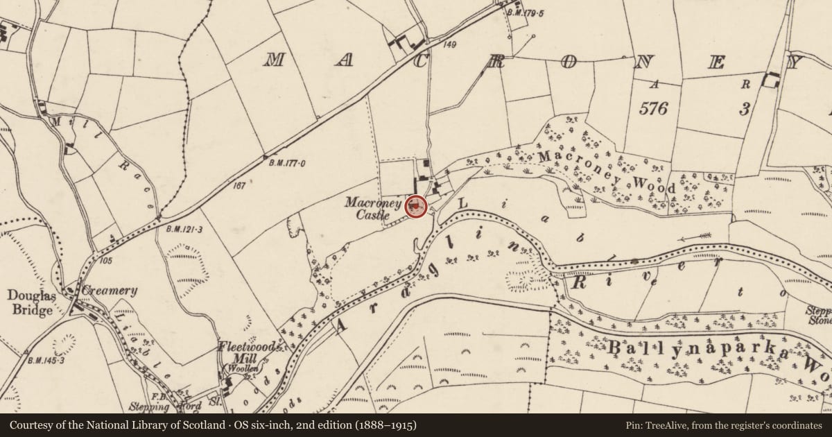 Ordnance Survey six-inch map, 2nd edition (1888–1915) covering the location of Castle - tower house, MacRoney Lower, County Cork, with a pin at the register's coordinates