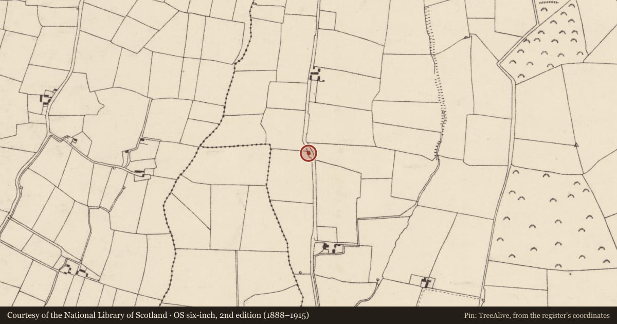 Ordnance Survey six-inch map, 2nd edition (1888–1915) covering the location of Kiln - lime, MacRoney Upper, County Cork, with a pin at the register's coordinates
