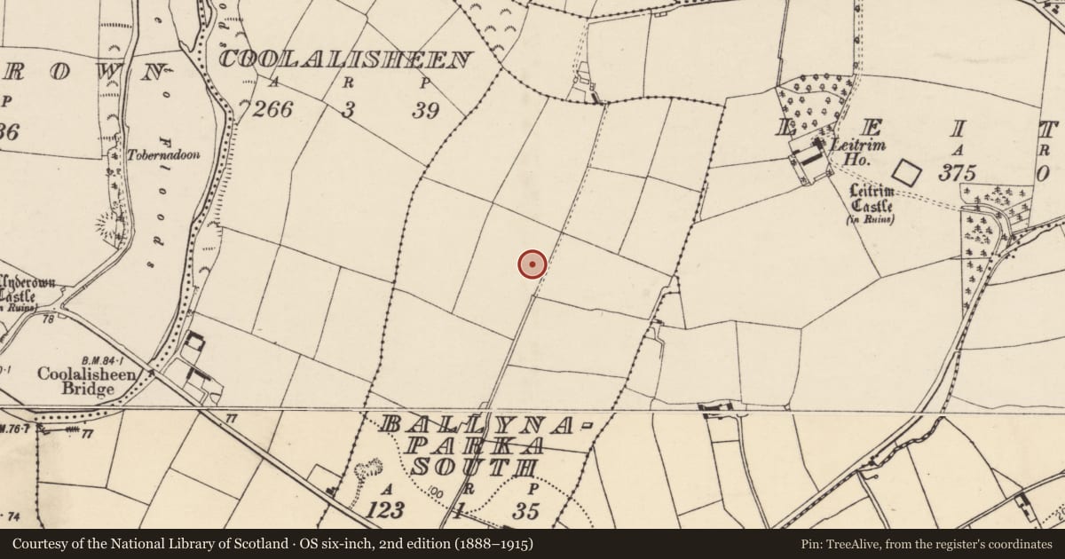 Ordnance Survey six-inch map, 2nd edition (1888–1915) covering the location of Ringfort - rath, Ballynaparka South, County Cork, with a pin at the register's coordinates