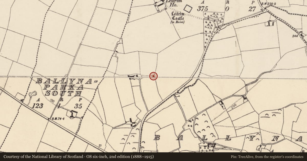 Ordnance Survey six-inch map, 2nd edition (1888–1915) covering the location of Kiln - lime, Leitrim, County Cork, with a pin at the register's coordinates