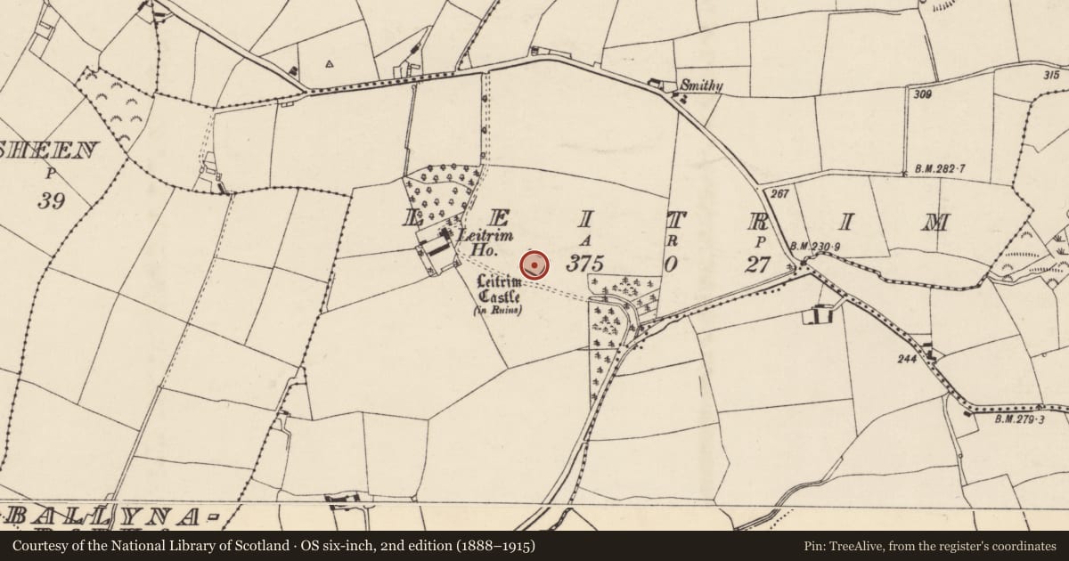 Ordnance Survey six-inch map, 2nd edition (1888–1915) covering the location of Castle - Anglo-Norman masonry castle, Leitrim, County Cork, with a pin at the register's coordinates