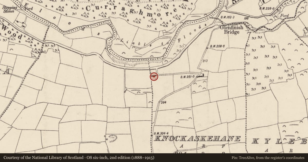 Ordnance Survey six-inch map, 2nd edition (1888–1915) covering the location of House - vernacular house, Knockaskehane, County Cork, with a pin at the register's coordinates