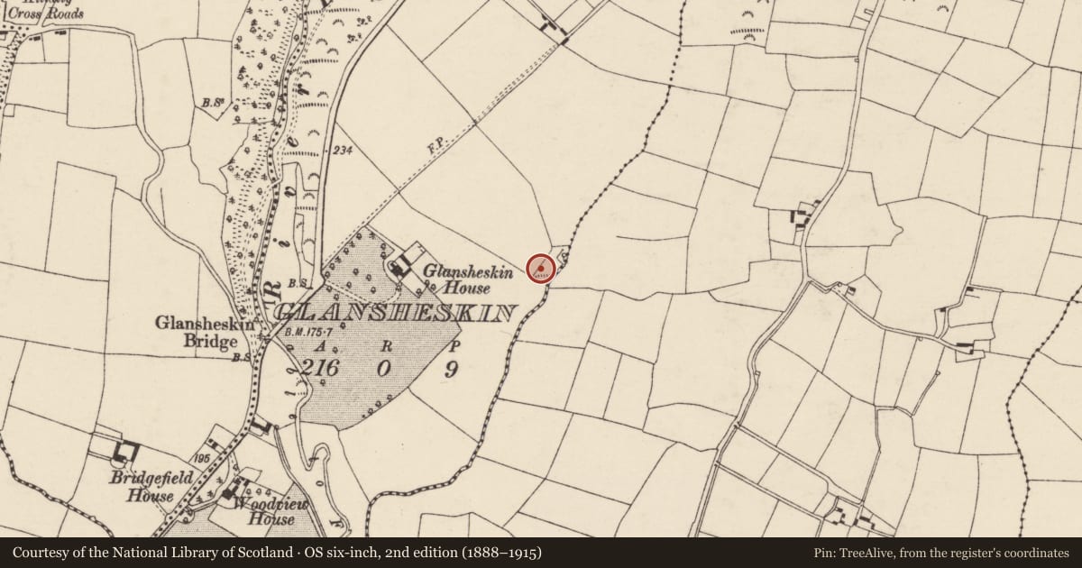 Ordnance Survey six-inch map, 2nd edition (1888–1915) covering the location of Fulacht fia, Glansheskin, County Cork, with a pin at the register's coordinates