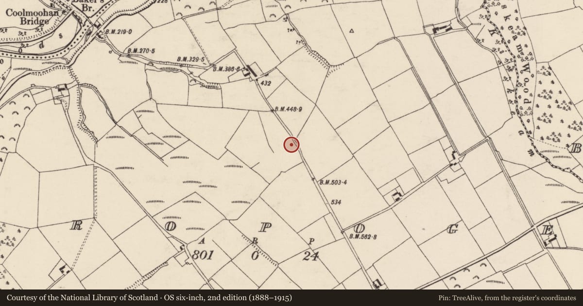 Ordnance Survey six-inch map, 2nd edition (1888–1915) covering the location of Fulacht fia, Propoge, County Cork, with a pin at the register's coordinates