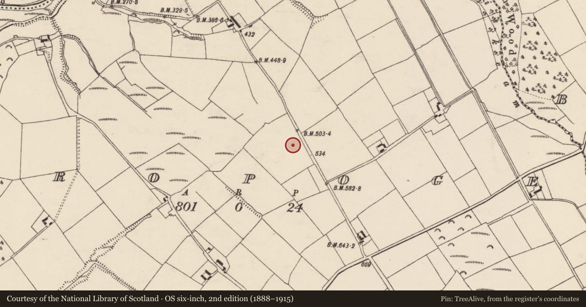 Ordnance Survey six-inch map, 2nd edition (1888–1915) covering the location of Fulacht fia, Propoge, County Cork, with a pin at the register's coordinates