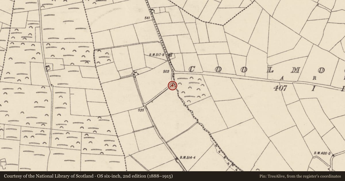 Ordnance Survey six-inch map, 2nd edition (1888–1915) covering the location of Fulacht fia, Castlecooke, County Cork, with a pin at the register's coordinates