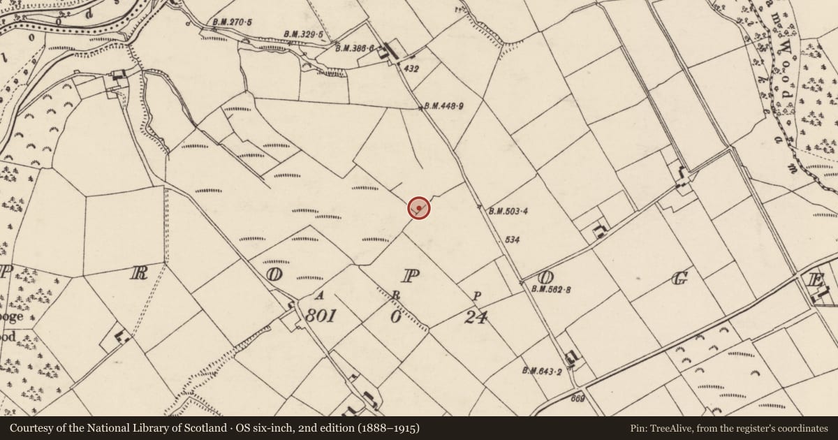 Ordnance Survey six-inch map, 2nd edition (1888–1915) covering the location of Fulacht fia, Propoge, County Cork, with a pin at the register's coordinates