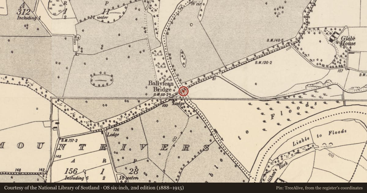 Ordnance Survey six-inch map, 2nd edition (1888–1915) covering the location of Bridge, County Cork, with a pin at the register's coordinates