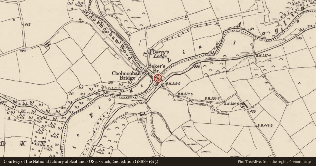 Ordnance Survey six-inch map, 2nd edition (1888–1915) covering the location of Bridge, County Cork, with a pin at the register's coordinates