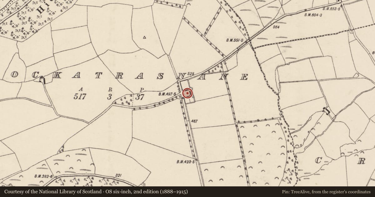 Ordnance Survey six-inch map, 2nd edition (1888–1915) covering the location of Building, Knockatrasnane, County Cork, with a pin at the register's coordinates