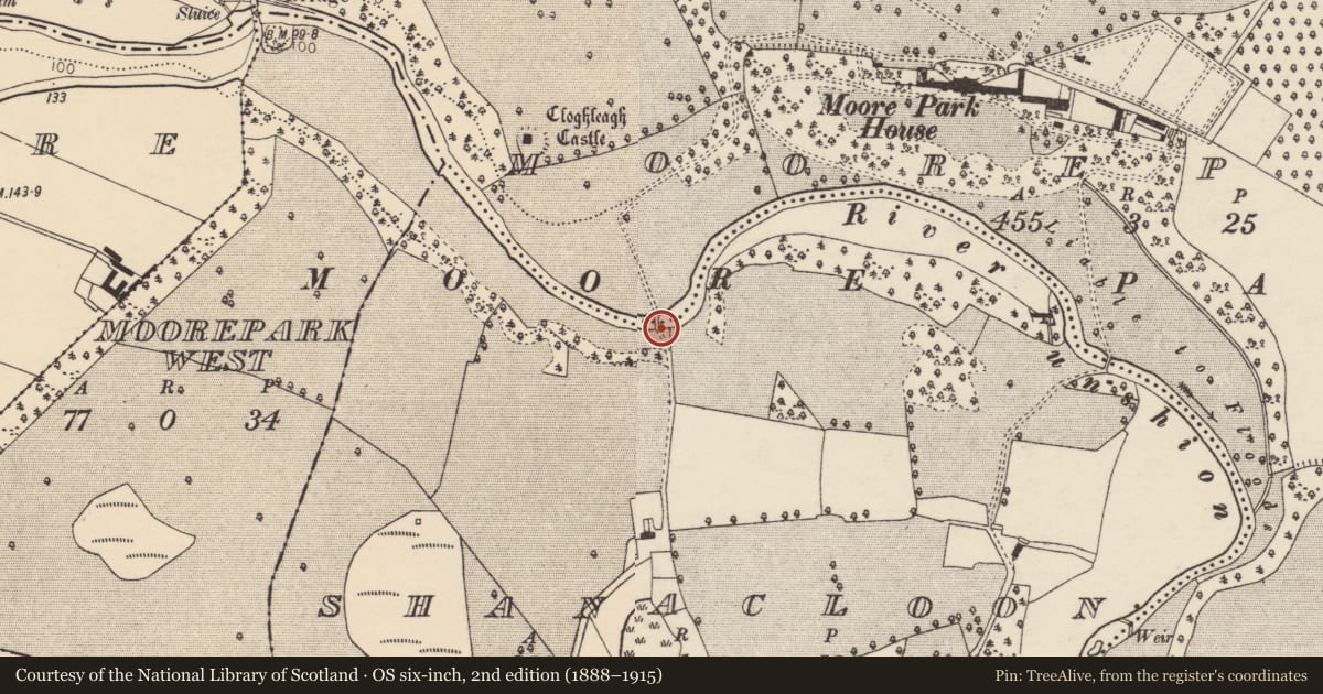 Ordnance Survey six-inch map, 2nd edition (1888–1915) covering the location of Bridge, Moorepark, Shanaclogh, County Cork, with a pin at the register's coordinates