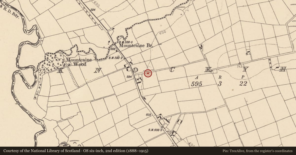 Ordnance Survey six-inch map, 2nd edition (1888–1915) covering the location of Kiln - lime, Knockyhena, County Cork, with a pin at the register's coordinates