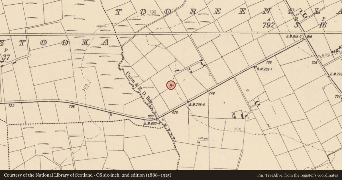 Ordnance Survey six-inch map, 2nd edition (1888–1915) covering the location of Kiln - lime, Tooreenglanahee, County Cork, with a pin at the register's coordinates