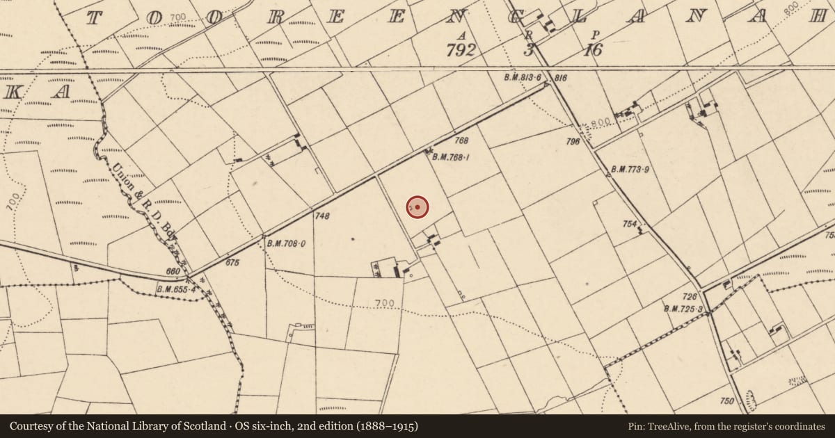 Ordnance Survey six-inch map, 2nd edition (1888–1915) covering the location of Kiln - lime, Tooreenglanahee, County Cork, with a pin at the register's coordinates