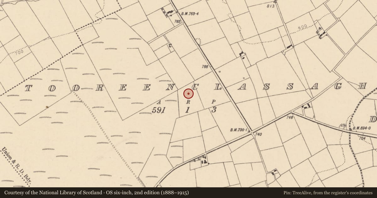 Ordnance Survey six-inch map, 2nd edition (1888–1915) covering the location of Fulacht fia, Tooreenclassagh, County Cork, with a pin at the register's coordinates