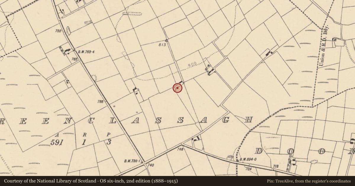 Ordnance Survey six-inch map, 2nd edition (1888–1915) covering the location of Kiln - lime, Tooreenclassagh, County Cork, with a pin at the register's coordinates