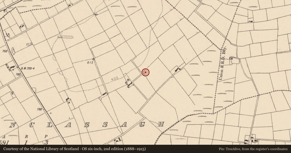 Ordnance Survey six-inch map, 2nd edition (1888–1915) covering the location of Kiln - lime, Tooreenclassagh, County Cork, with a pin at the register's coordinates