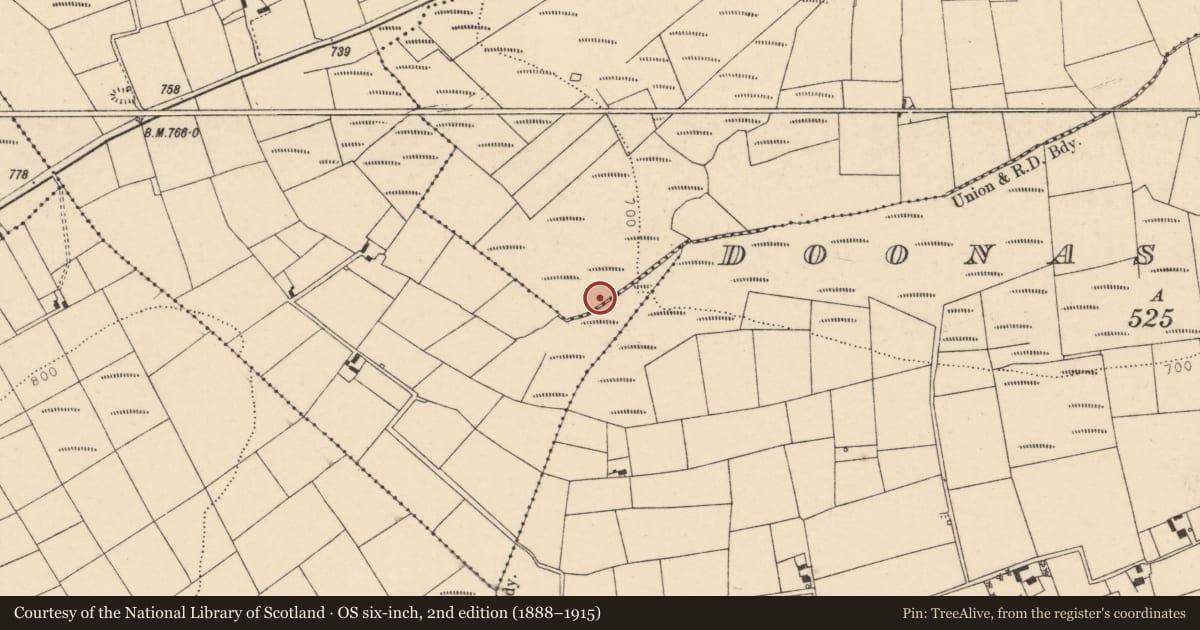 Ordnance Survey six-inch map, 2nd edition (1888–1915) covering the location of Fulacht fia, Knockeenadallane (Duhallow By., Cullen Par.), County Cork, with a pin at the register's coordinates
