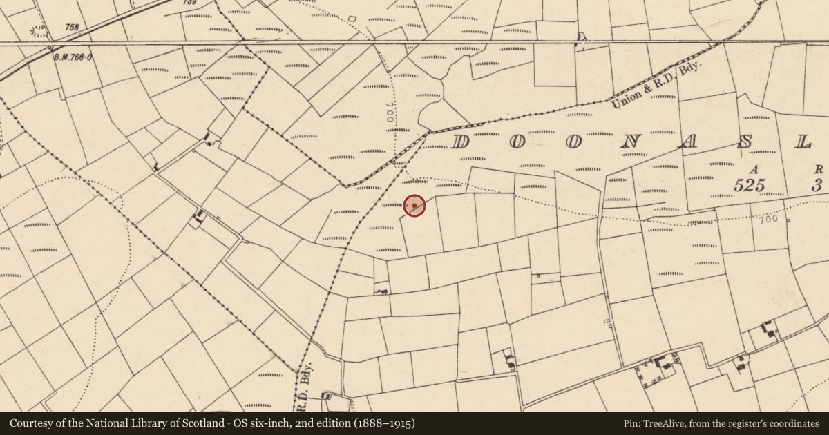 Ordnance Survey six-inch map, 2nd edition (1888–1915) covering the location of Fulacht fia, Doonasleen North, County Cork, with a pin at the register's coordinates