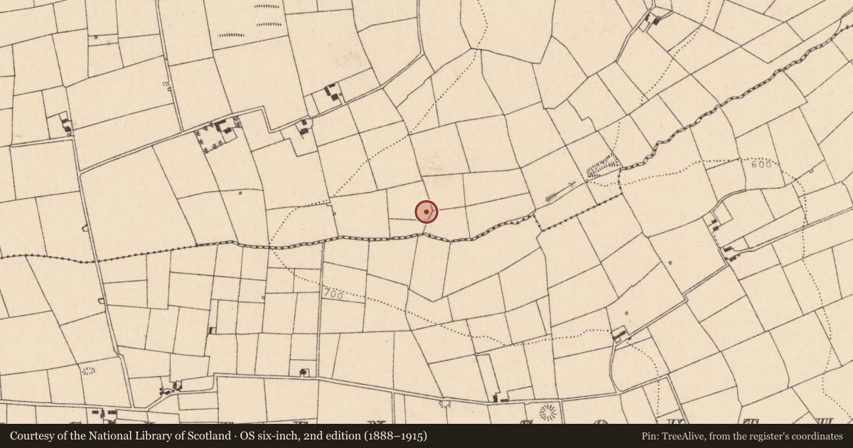 Ordnance Survey six-inch map, 2nd edition (1888–1915) covering the location of Fulacht fia, Doonasleen North, County Cork, with a pin at the register's coordinates