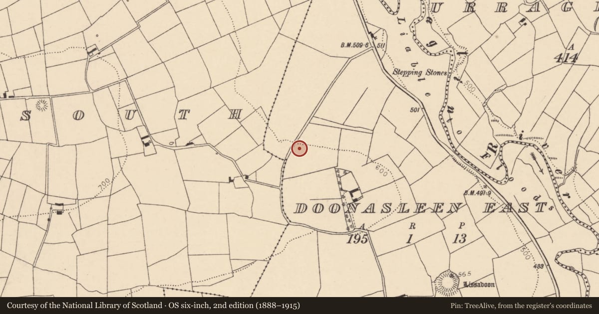 Ordnance Survey six-inch map, 2nd edition (1888–1915) covering the location of Fulacht fia, Doonasleen East, County Cork, with a pin at the register's coordinates