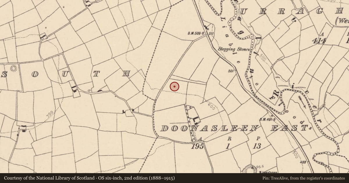 Ordnance Survey six-inch map, 2nd edition (1888–1915) covering the location of Fulacht fia, Doonasleen East, County Cork, with a pin at the register's coordinates