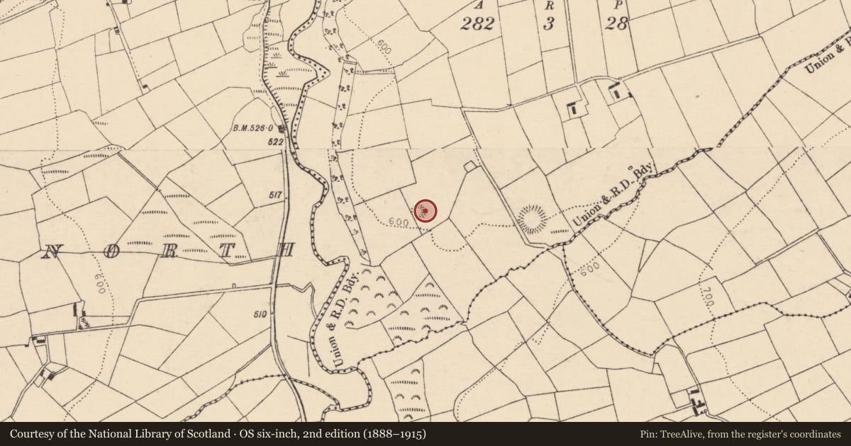 Ordnance Survey six-inch map, 2nd edition (1888–1915) covering the location of Barrow - ring-barrow, Dromskarragh More, County Cork, with a pin at the register's coordinates