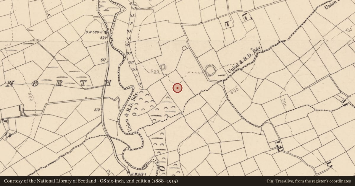 Ordnance Survey six-inch map, 2nd edition (1888–1915) covering the location of Cairn - unclassified, Dromskarragh More, County Cork, with a pin at the register's coordinates