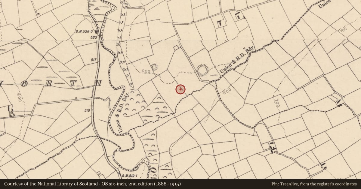 Ordnance Survey six-inch map, 2nd edition (1888–1915) covering the location of Barrow - ring-barrow, Dromskarragh More, County Cork, with a pin at the register's coordinates