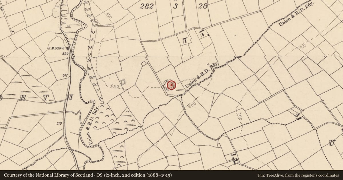 Ordnance Survey six-inch map, 2nd edition (1888–1915) covering the location of Ringfort - rath, Dromskarragh More, County Cork, with a pin at the register's coordinates