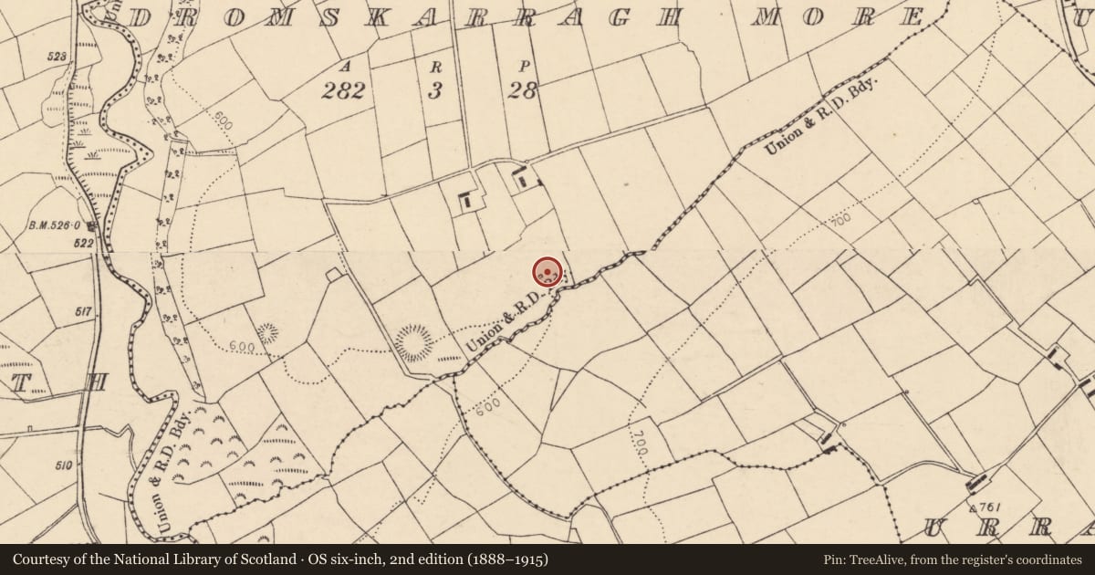 Ordnance Survey six-inch map, 2nd edition (1888–1915) covering the location of Kiln - lime, Dromskarragh More, County Cork, with a pin at the register's coordinates