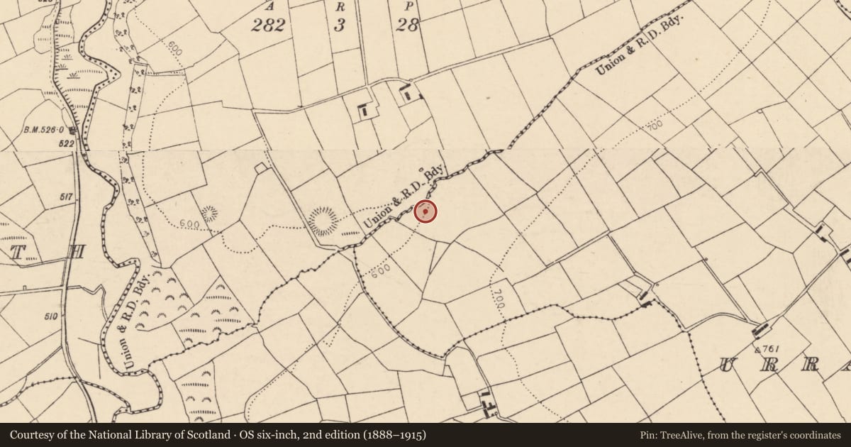 Ordnance Survey six-inch map, 2nd edition (1888–1915) covering the location of Fulacht fia, Urraghilmore (East), County Cork, with a pin at the register's coordinates