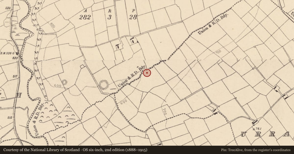 Ordnance Survey six-inch map, 2nd edition (1888–1915) covering the location of Fulacht fia, Urraghilmore (East), County Cork, with a pin at the register's coordinates