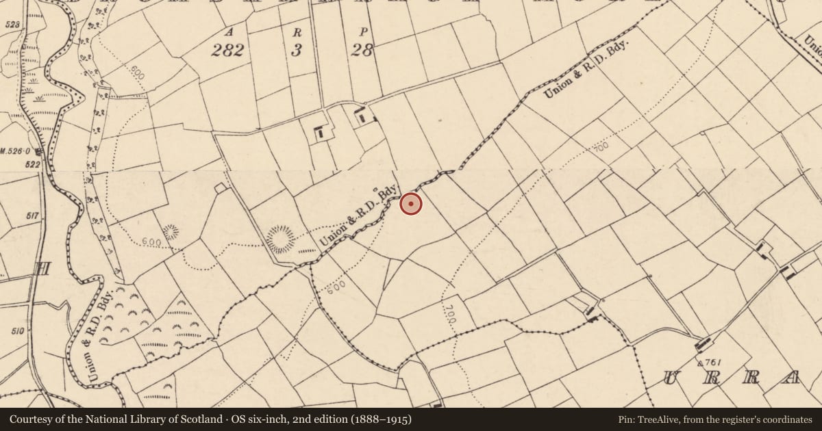 Ordnance Survey six-inch map, 2nd edition (1888–1915) covering the location of Fulacht fia, Urraghilmore (East), County Cork, with a pin at the register's coordinates