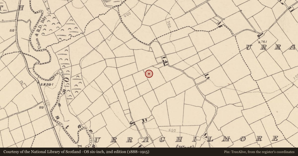 Ordnance Survey six-inch map, 2nd edition (1888–1915) covering the location of Fulacht fia, Urraghilmore (West), County Cork, with a pin at the register's coordinates