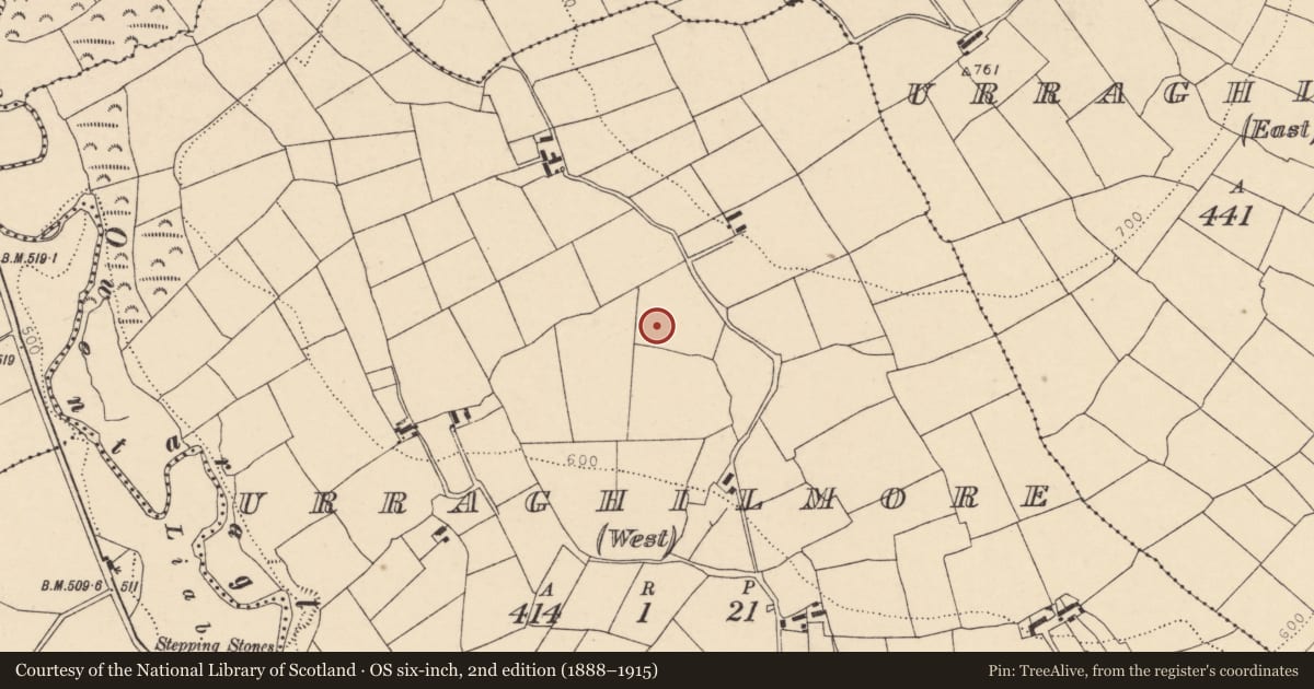 Ordnance Survey six-inch map, 2nd edition (1888–1915) covering the location of Fulacht fia, Urraghilmore (West), County Cork, with a pin at the register's coordinates