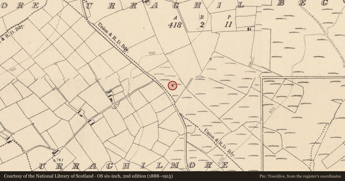 Ordnance Survey six-inch map, 2nd edition (1888–1915) covering the location of Fulacht fia, Urraghil Beg, County Cork, with a pin at the register's coordinates