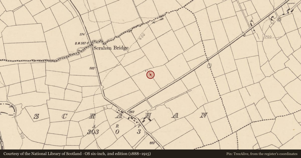 Ordnance Survey six-inch map, 2nd edition (1888–1915) covering the location of Fulacht fia, Scrahan, County Cork, with a pin at the register's coordinates