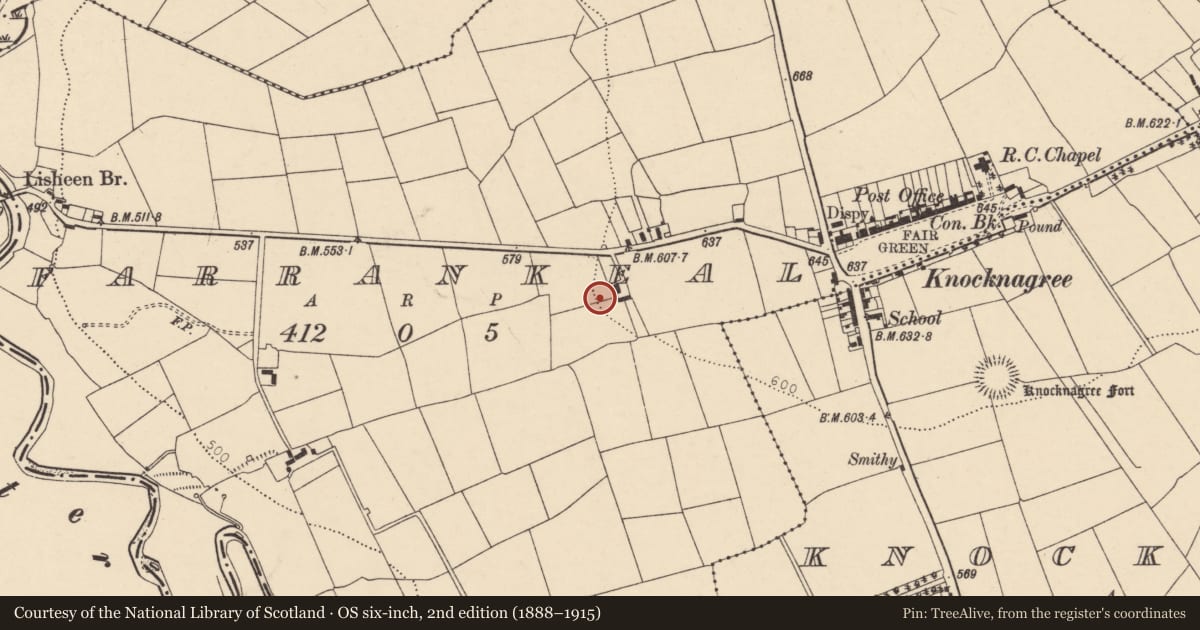 Ordnance Survey six-inch map, 2nd edition (1888–1915) covering the location of Standing stone, Farrankeal, County Cork, with a pin at the register's coordinates