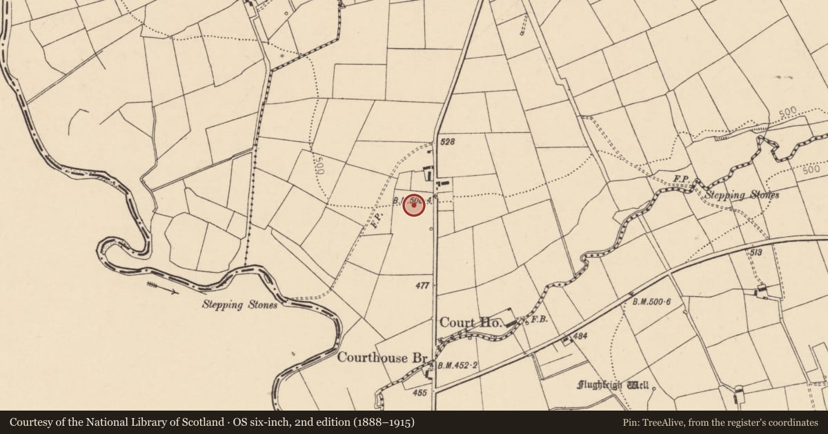 Ordnance Survey six-inch map, 2nd edition (1888–1915) covering the location of Fulacht fia, Knocknagree, County Cork, with a pin at the register's coordinates