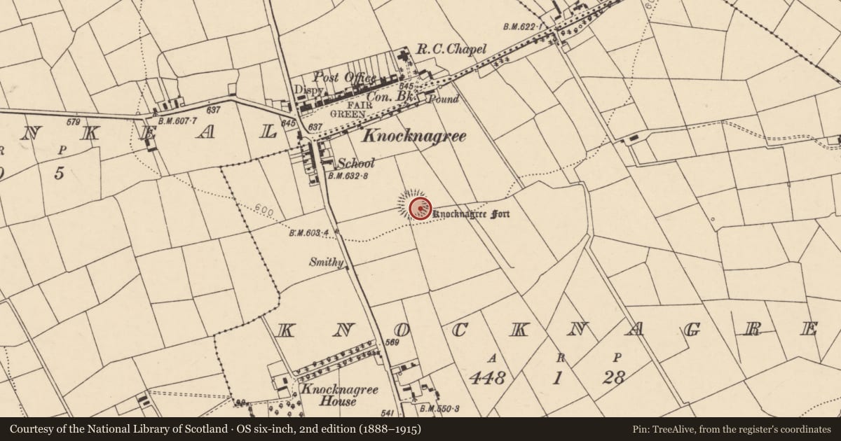 Ordnance Survey six-inch map, 2nd edition (1888–1915) covering the location of Ringfort - rath, Knocknagree, County Cork, with a pin at the register's coordinates
