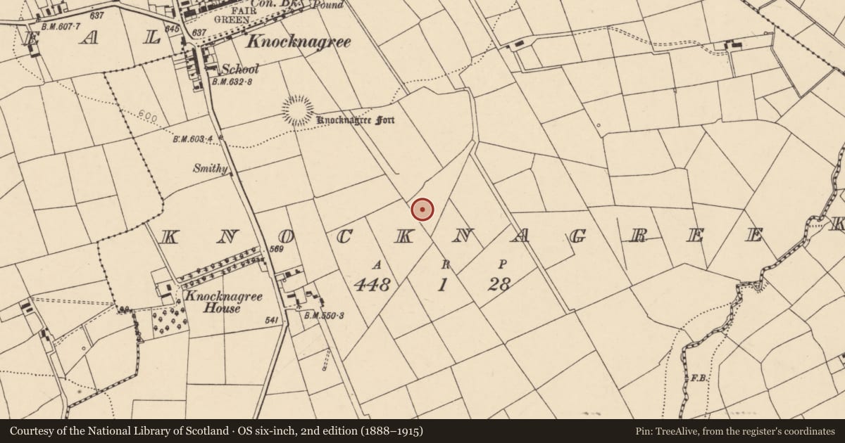 Ordnance Survey six-inch map, 2nd edition (1888–1915) covering the location of Fulacht fia, Knocknagree, County Cork, with a pin at the register's coordinates