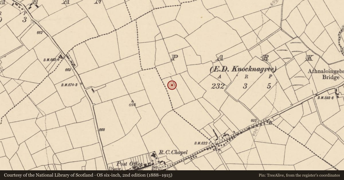 Ordnance Survey six-inch map, 2nd edition (1888–1915) covering the location of Standing stone, Park (Duhallow By., Nohavaldaly Par.), County Cork, with a pin at the register's coordinates