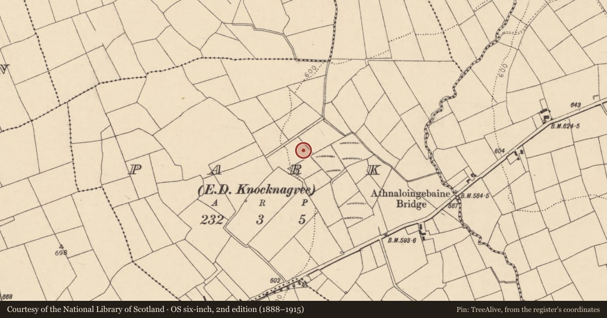 Ordnance Survey six-inch map, 2nd edition (1888–1915) covering the location of Fulacht fia, Park (Duhallow By., Nohavaldaly Par.), County Cork, with a pin at the register's coordinates